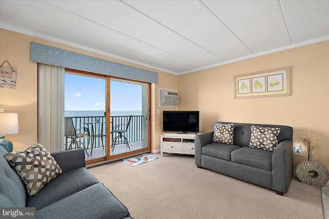 778 94th St Unit 205, Ocean City, MD 21842 - carpeted living room featuring crown molding and a wall mounted AC
