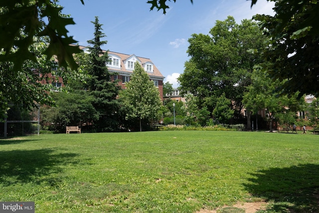 2230 California St NW Unit 5Cw, Washington, DC 20008 - view of green lawn