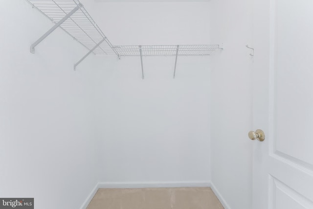 20152 Boxwood Pl, Ashburn, VA 20147 - view of walk in closet