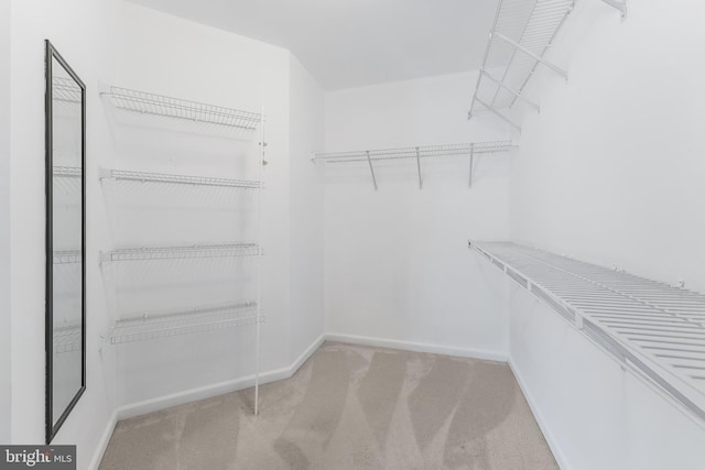 20152 Boxwood Pl, Ashburn, VA 20147 - walk in closet featuring carpet flooring
