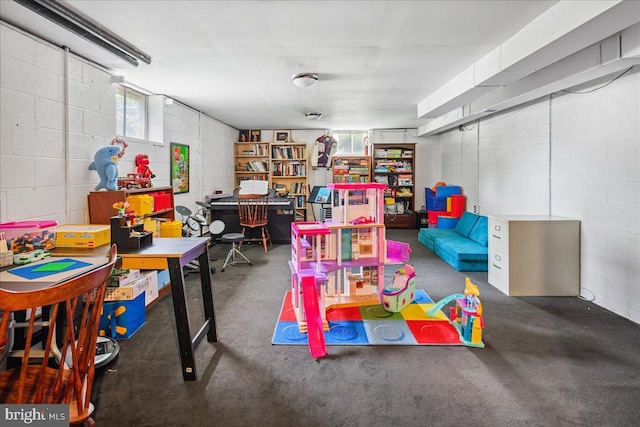 8 High Acres Dr, Ewing, NJ 08628 - rec room featuring plenty of natural light and concrete block wall