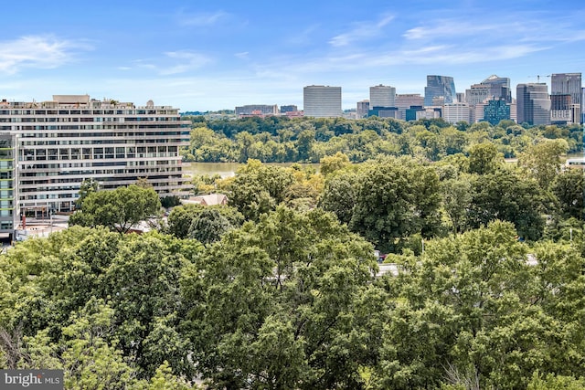 955 26th St NW Unit 510, Washington, DC 20037 - city view with a tree filled landscape