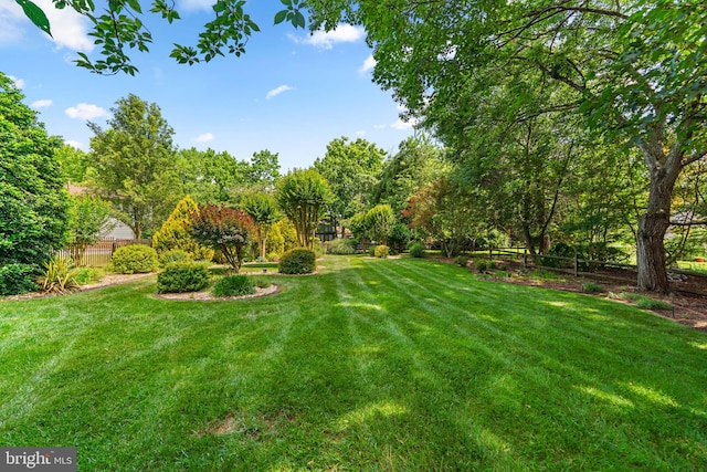 6162 Commadore Ct, Columbia, MD 21045 - view of yard
