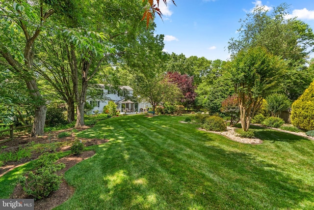 6162 Commadore Ct, Columbia, MD 21045 - view of yard