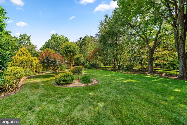 6162 Commadore Ct, Columbia, MD 21045 - view of yard