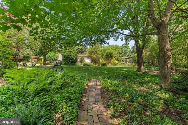 6162 Commadore Ct, Columbia, MD 21045 - view of green lawn
