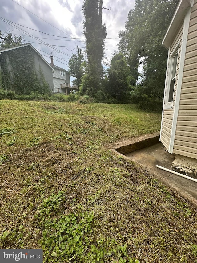 3709 Chesholm Rd, Baltimore, MD 21216 - view of yard