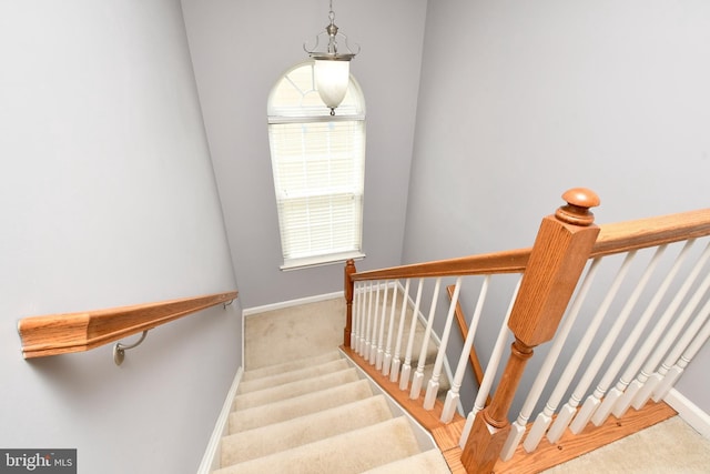 1007 Wright Ct, Fredericksburg, VA 22401 - stairway with carpet and baseboards