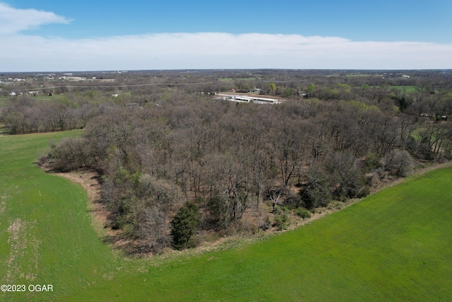 11818 Nettle Dr, Neosho, MO 64850 - photo 6