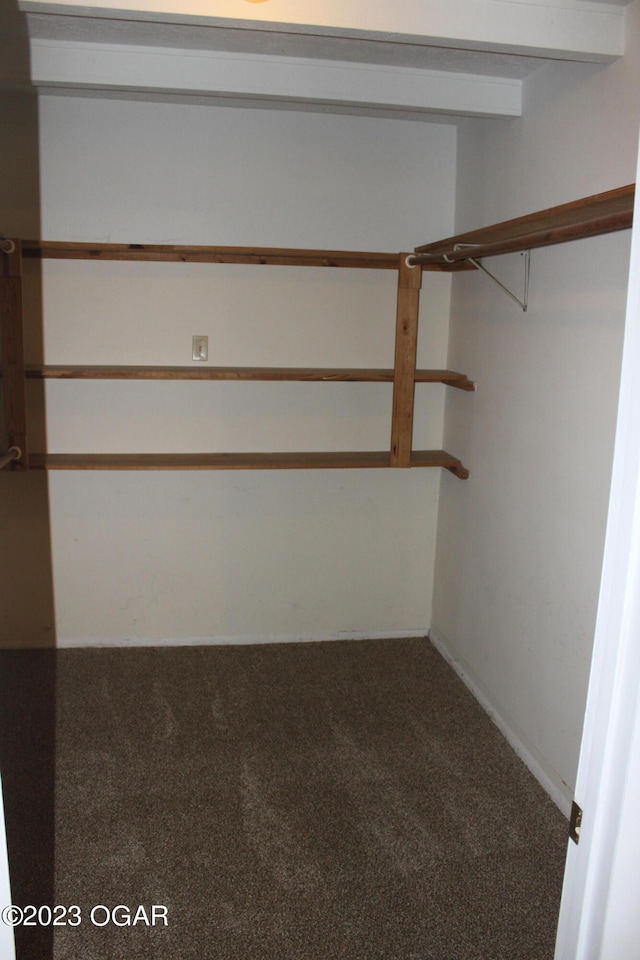 walk in closet with carpet floors