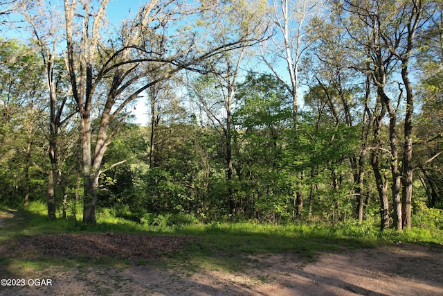 view of local wilderness