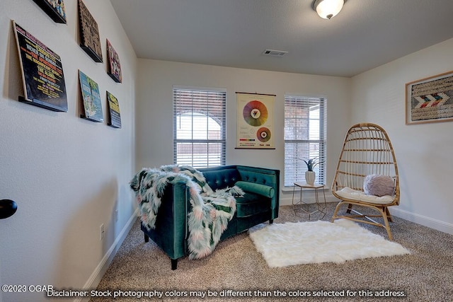 bedroom featuring carpet