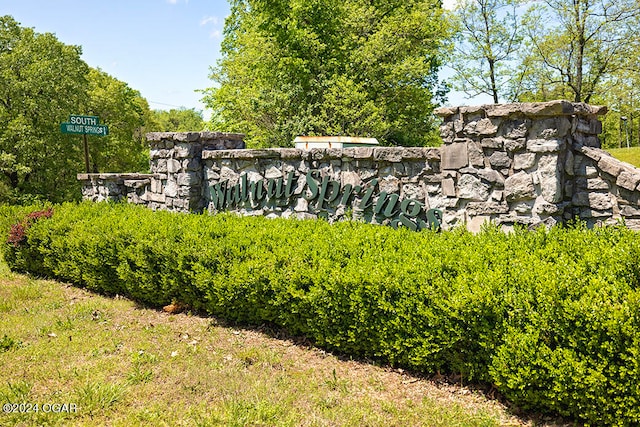 Listing photo 3 for LOT59 Walnut Springs Dr, Cape Fair MO 65624