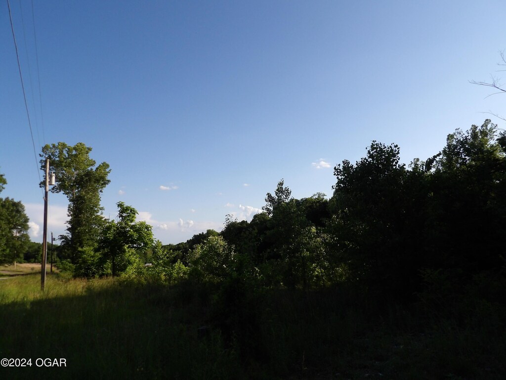 000 W Ivy Rd, Oronogo, MO 64855
