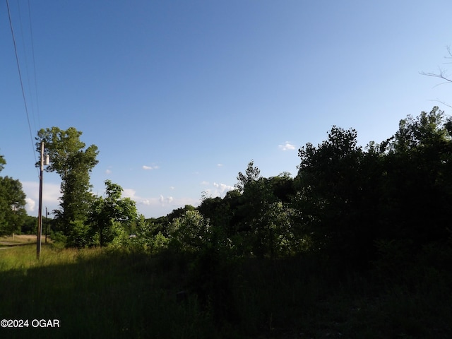 000 W Ivy Rd, Oronogo, MO 64855