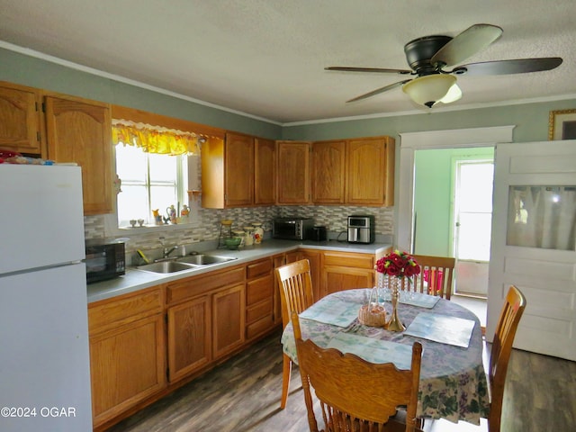 kitchen with a healthy amount of sunlight, hardwood / wood-style floors, white fridge, and backsplash