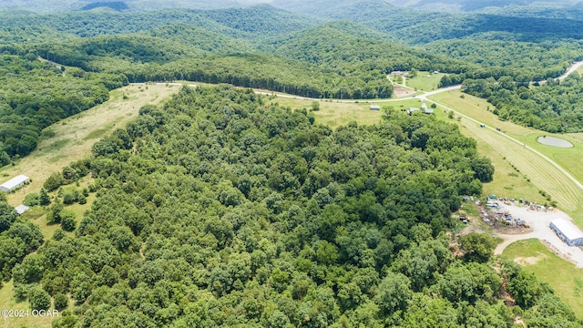 view of bird's eye view