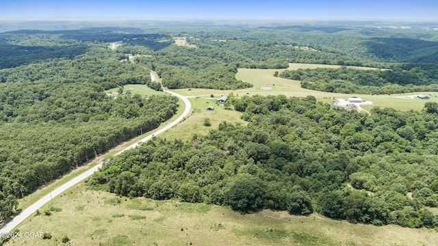 view of bird's eye view