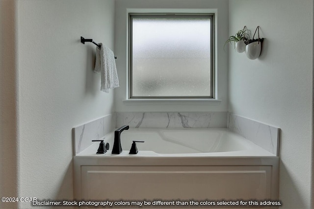 bathroom featuring a washtub