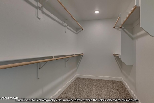 spacious closet with carpet