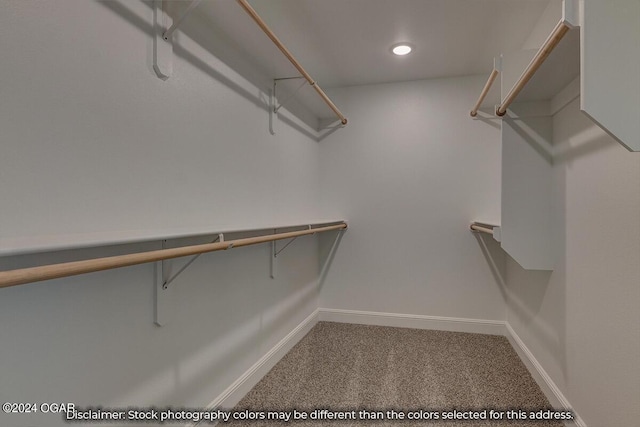 2323 N Miller Ave, Joplin, MO 64801 - walk in closet with carpet floors