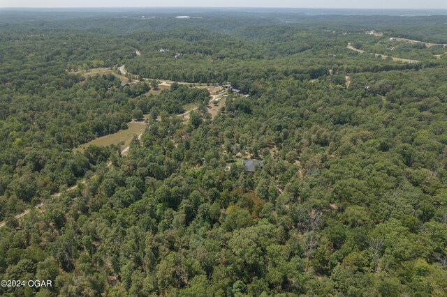 7221 State Highway 90, Pineville, MO 64856 - photo 23