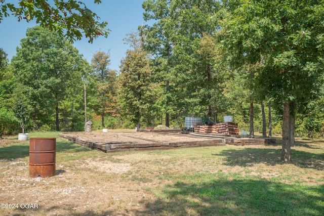 7221 State Highway 90, Pineville, MO 64856 - view of yard