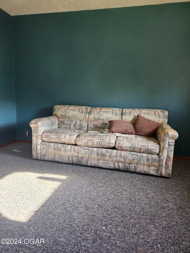 living room featuring carpet