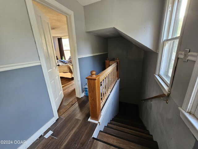 stairway featuring hardwood / wood-style flooring and plenty of natural light