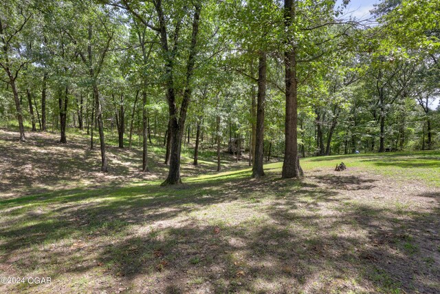 view of nature featuring a wooded view