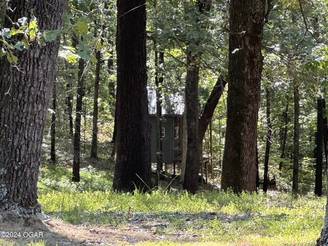 view of local wilderness