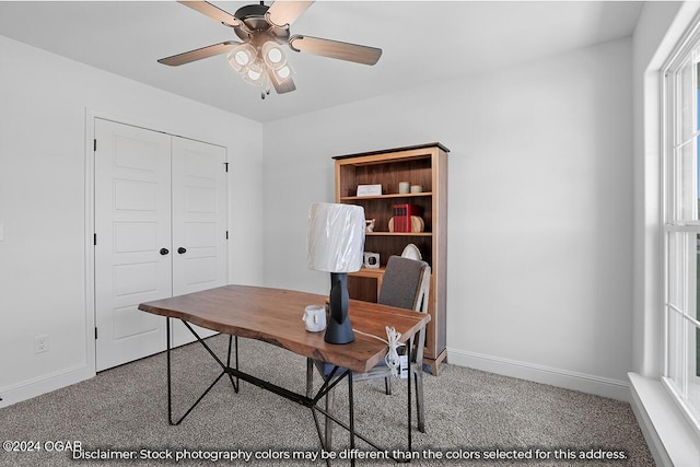 office space featuring ceiling fan and carpet