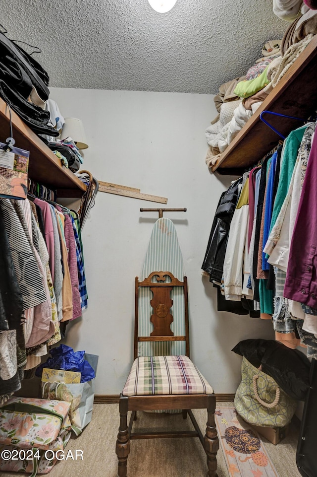 spacious closet featuring carpet flooring