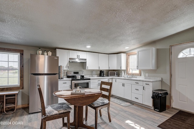 kitchen featuring a wealth of natural light, stainless steel appliances, and light hardwood / wood-style floors