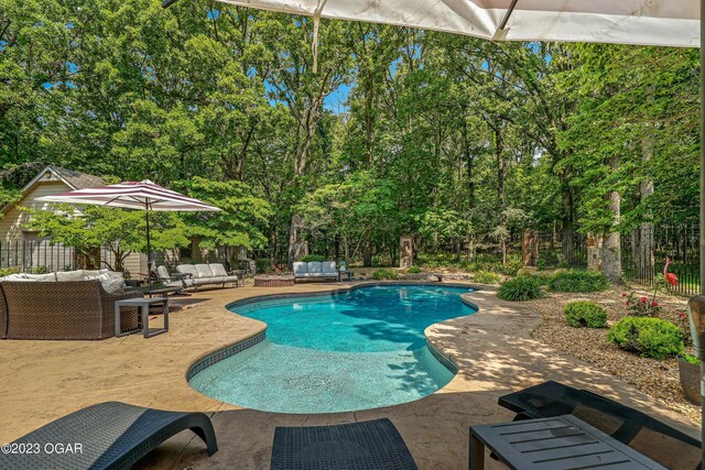 view of pool with a patio area and an outdoor hangout area