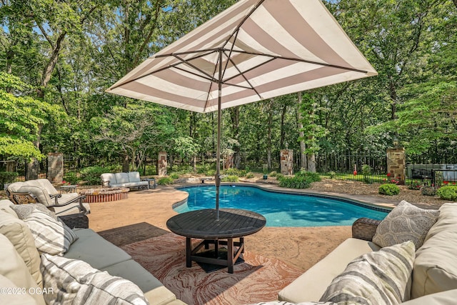 view of swimming pool with a patio area and outdoor lounge area