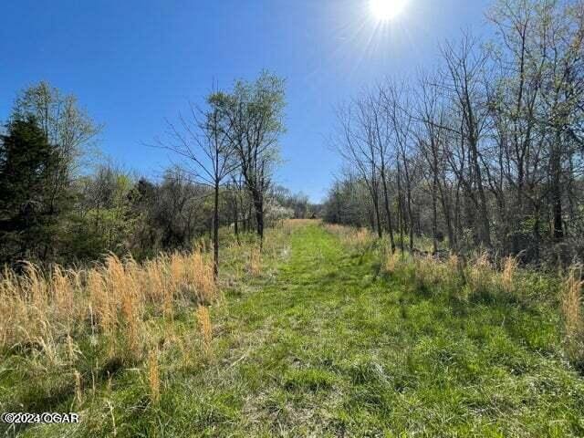 Listing photo 3 for 000 Adams Rd, Goodman MO 64843