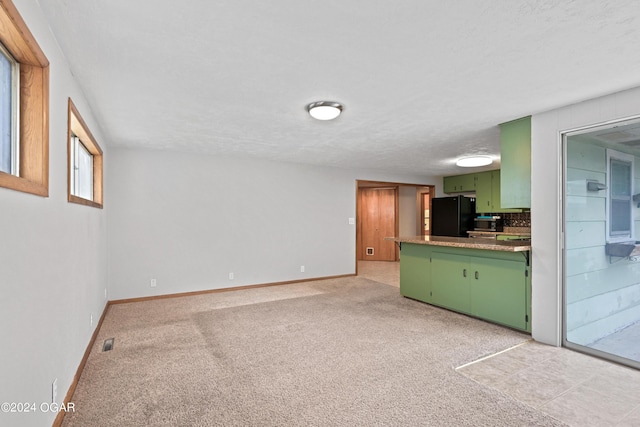 unfurnished living room featuring light carpet and a textured ceiling