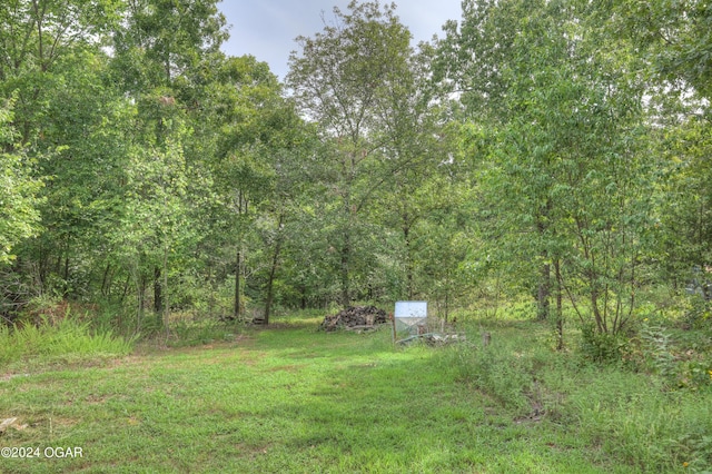 view of yard featuring a forest view