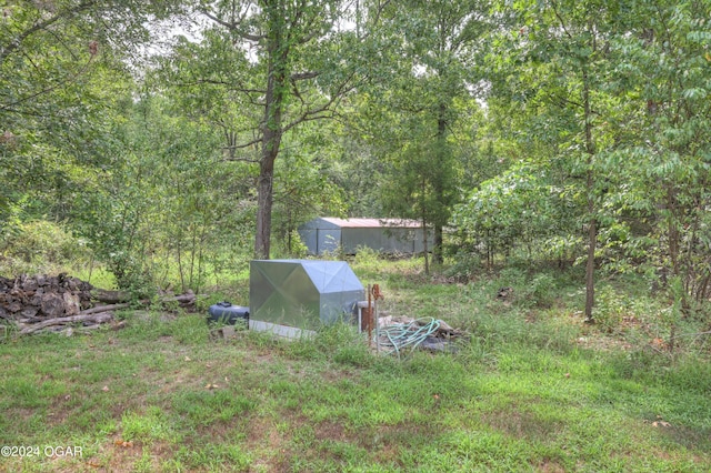 view of yard with a wooded view and an outdoor structure