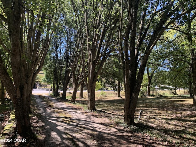 view of road