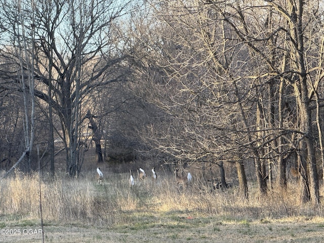 view of landscape