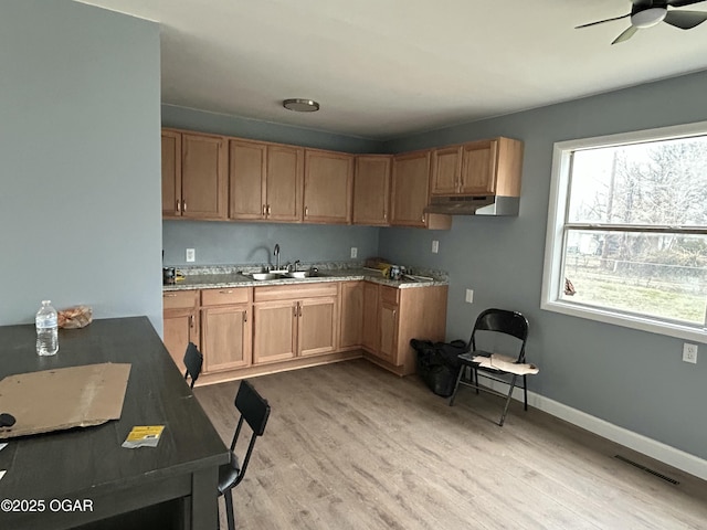 kitchen with under cabinet range hood, a sink, visible vents, baseboards, and light wood finished floors