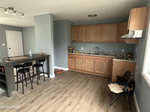 kitchen with baseboards, light wood-type flooring, a sink, and under cabinet range hood