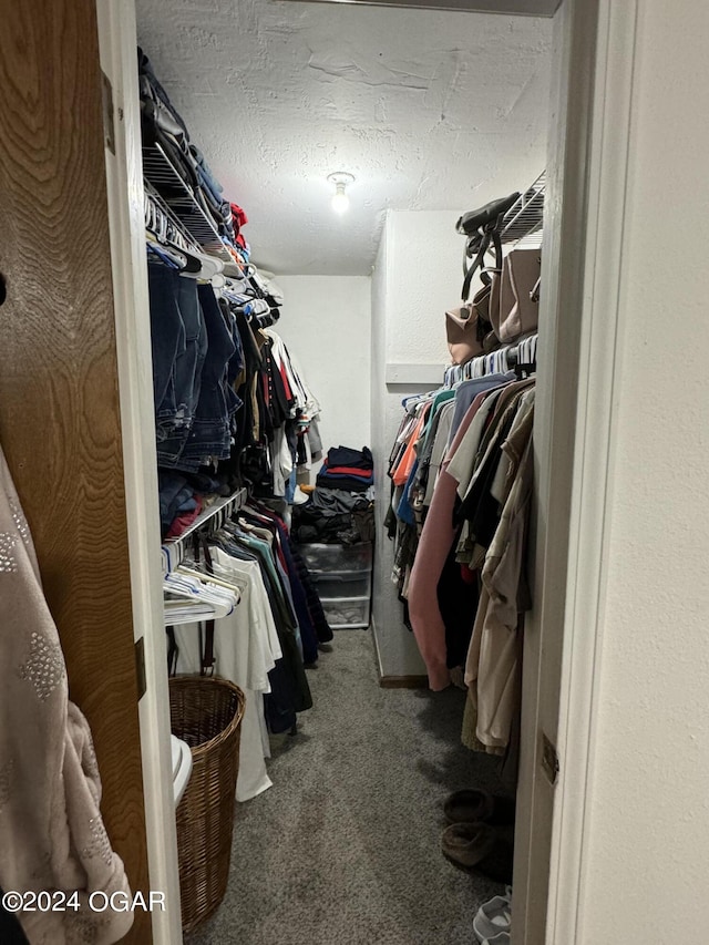 spacious closet featuring carpet floors