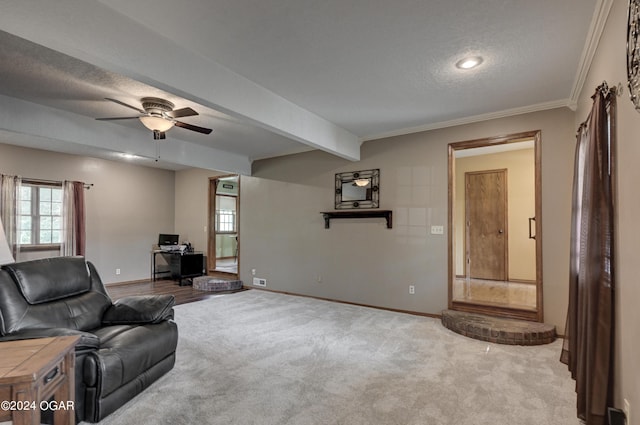 9825 County Rd 215, Webb City, MO 64870 - carpeted living room with baseboards, a textured ceiling, beamed ceiling, ceiling fan, and crown molding