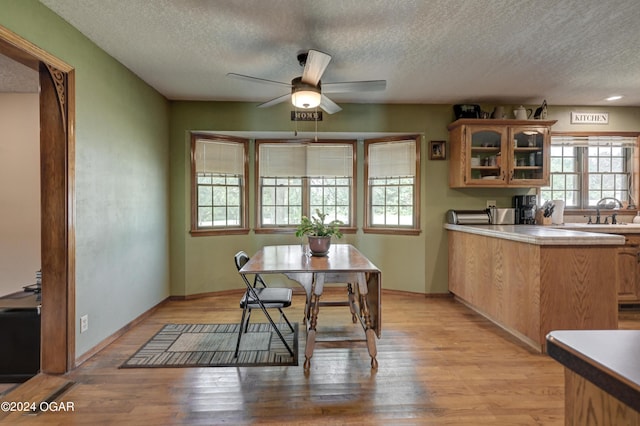 9825 County Rd 215, Webb City, MO 64870 - dining space with a ceiling fan, a textured ceiling, and light wood finished floors