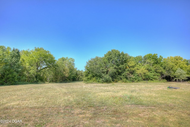 9825 County Rd 215, Webb City, MO 64870 - view of grassy yard featuring a view of trees
