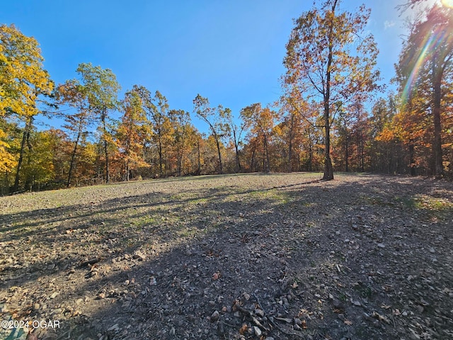 Listing photo 3 for TRACT4 Coble Ln, Anderson MO 64831