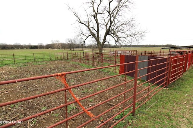 view of yard with a rural view